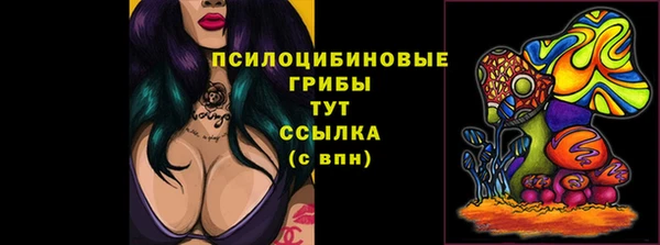 тгк Белокуриха