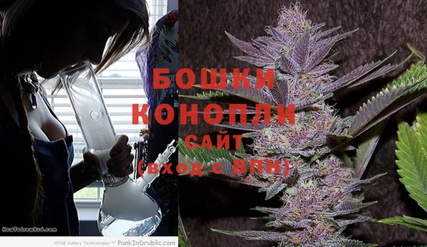 амф Белоозёрский