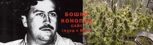 тгк Белокуриха