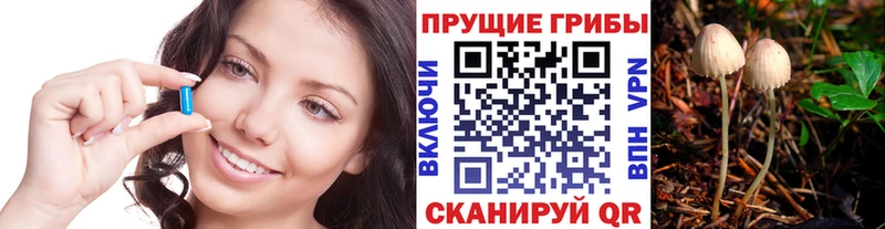 Псилоцибиновые грибы Psilocybine cubensis  Лакинск 